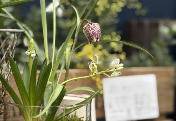 2月休業日のお知らせ